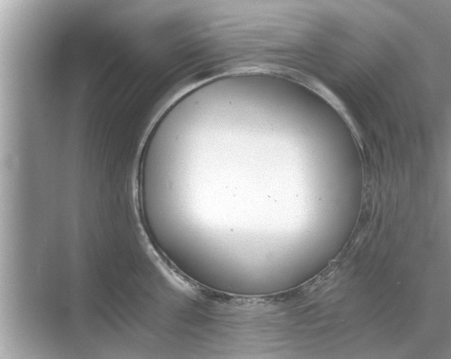 X0000068750811200605121608