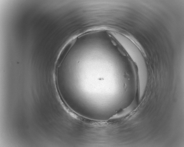 X0000068750813200605121608