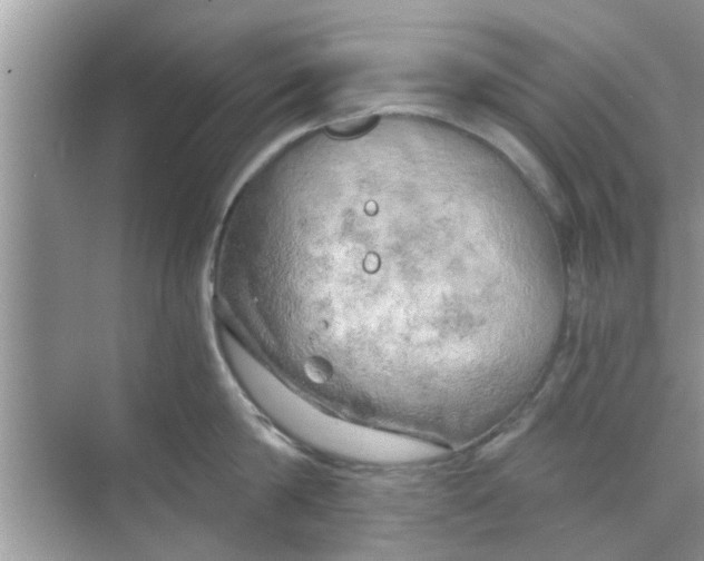 X0000068750814200605121608