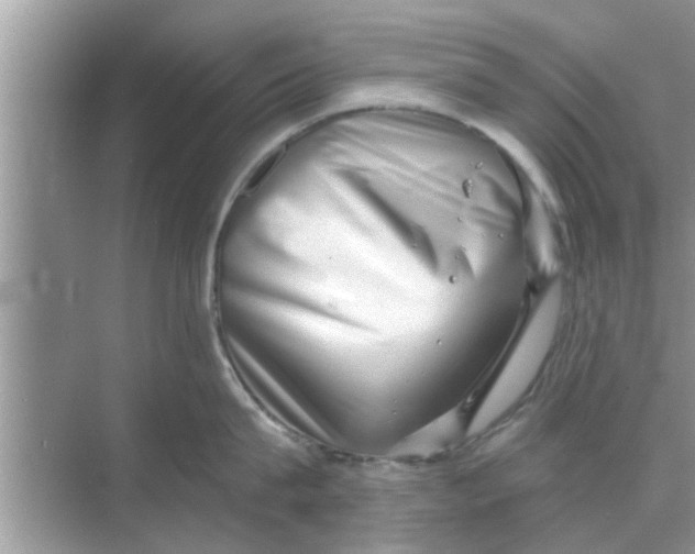 X0000068750815200605121608