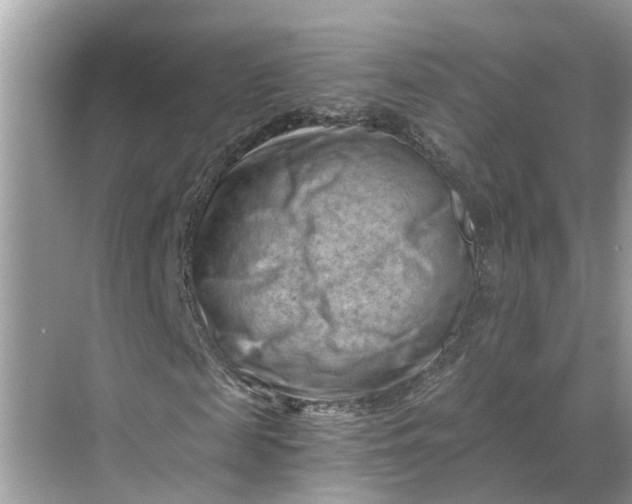 X0000068750817200605121607