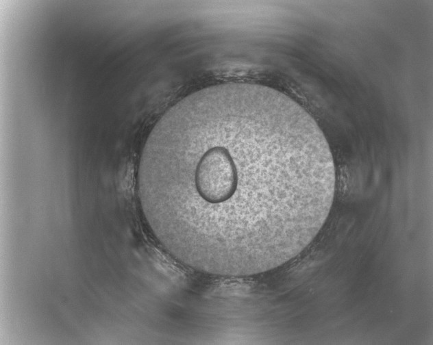 X0000068750820200605121607