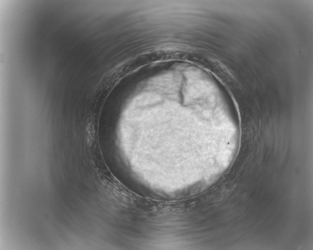 X0000068750821200605121607