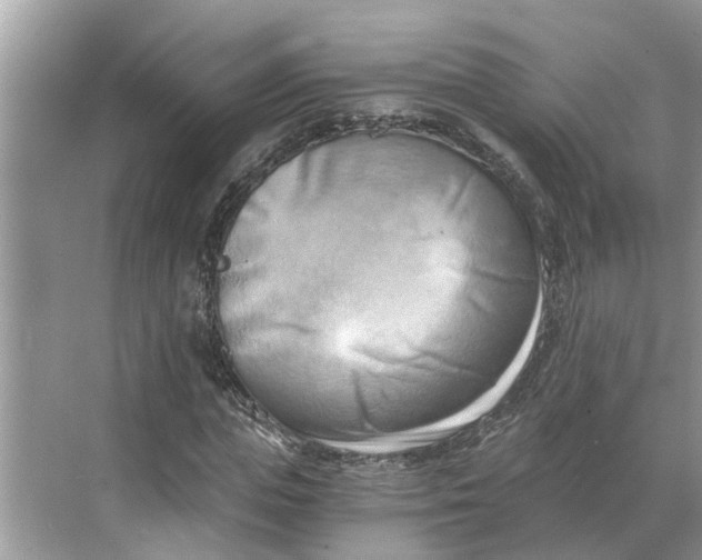 X0000068750823200605121607