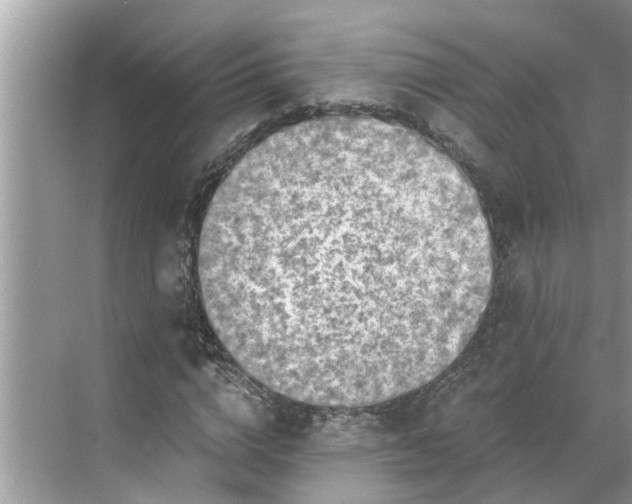 X0000068750824200605121607