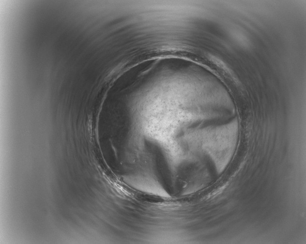 X0000068750825200605121607