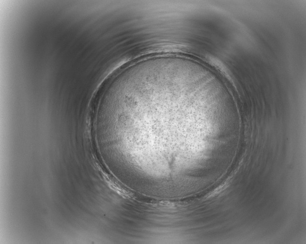 X0000068750827200605121607