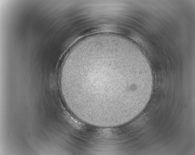 X0000068750828200605121607