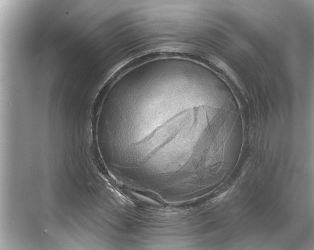 X0000068750829200605121607