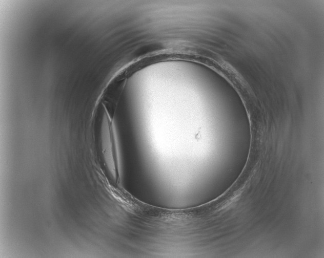 X0000068750830200605121607