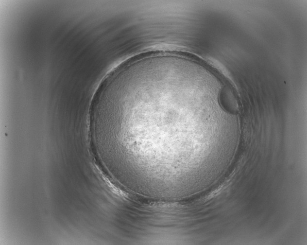 X0000068750831200605121607