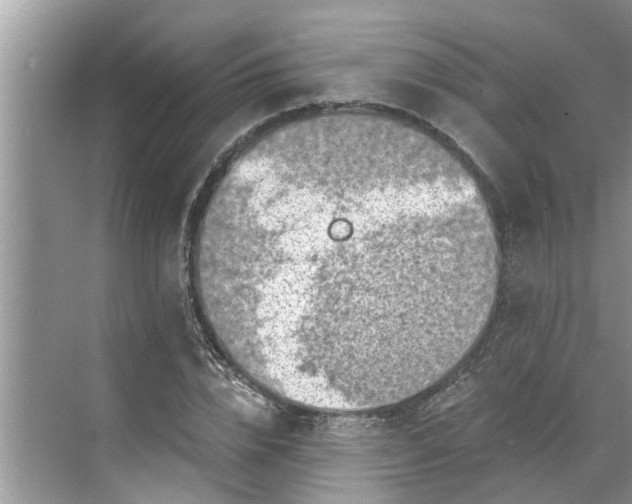 X0000068750832200605121607