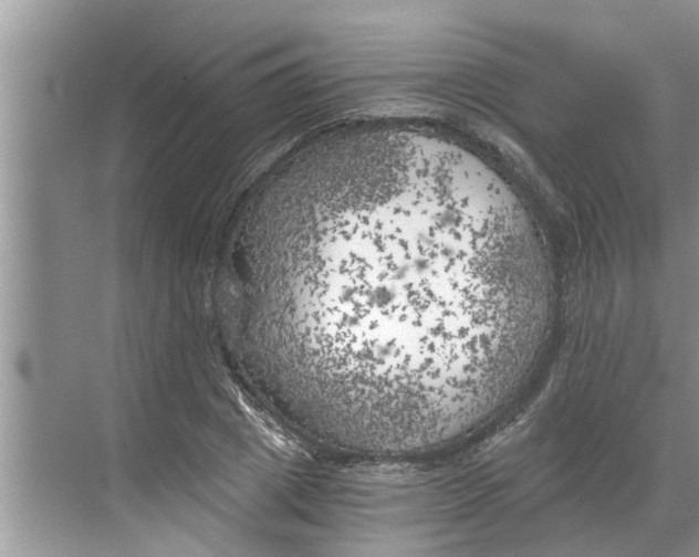 X0000068750833200605121607