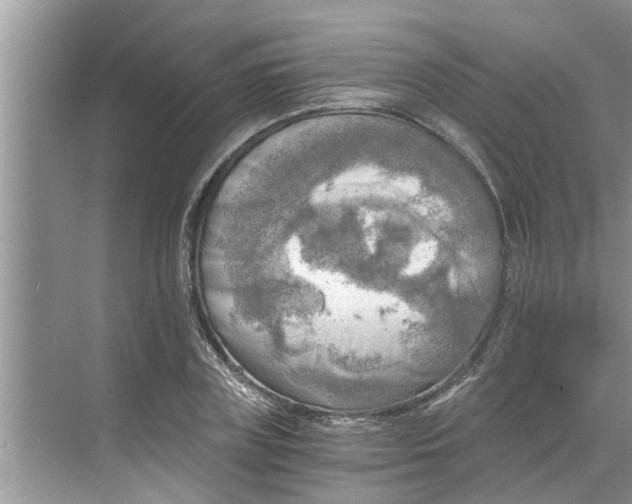 X0000068750835200605121607