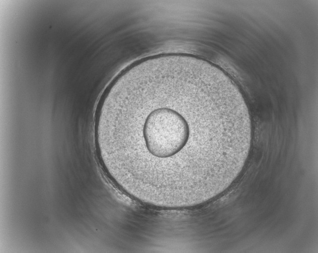 X0000068750836200605121607