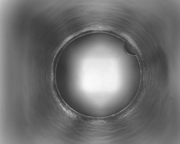 X0000068750837200605121607