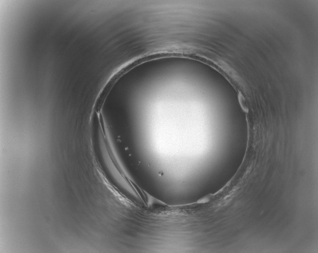 X0000068750838200605121607