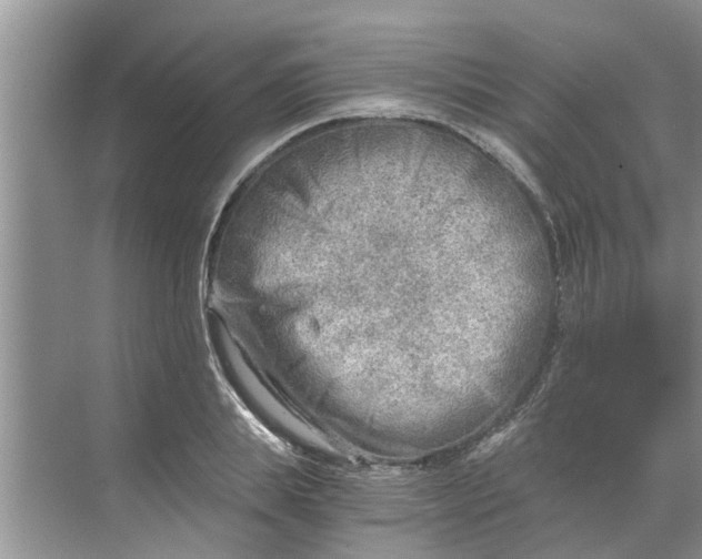 X0000068750839200605121608