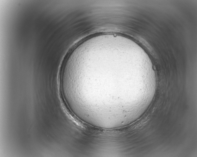 X0000068750840200605121608