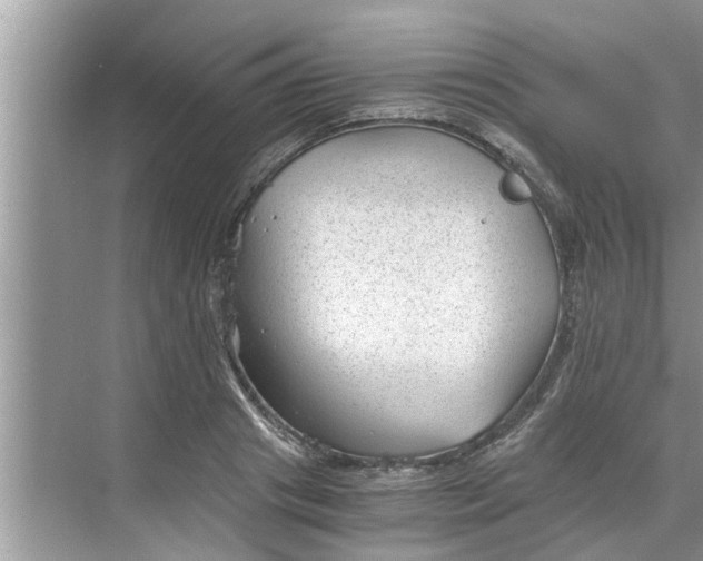 X0000068750841200605121608