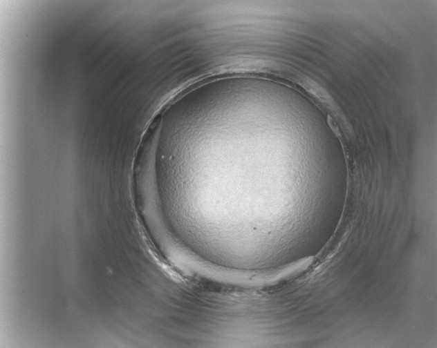 X0000068750842200605121608