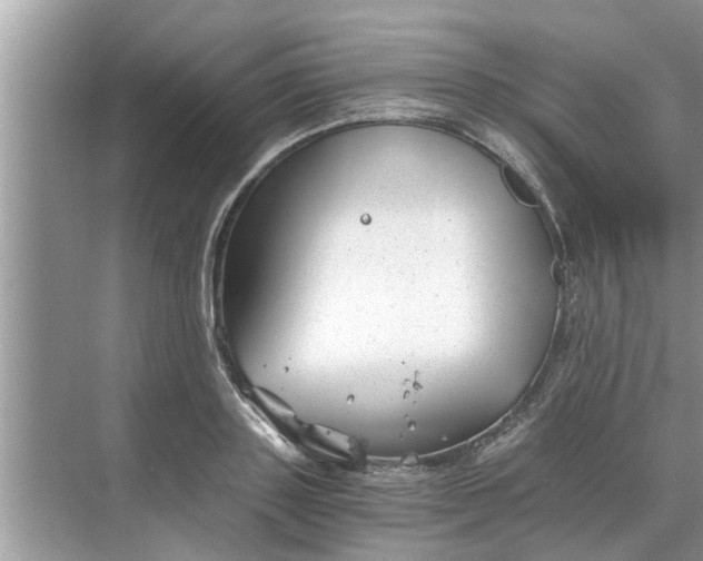 X0000068750843200605121608