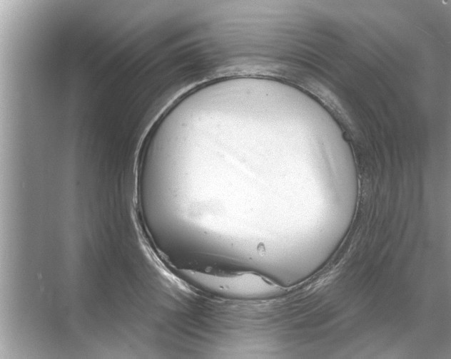 X0000068750844200605121608