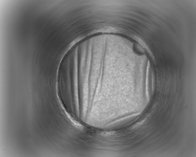 X0000068750845200605121608