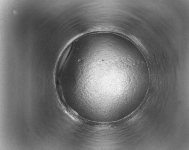 X0000068750846200605121608