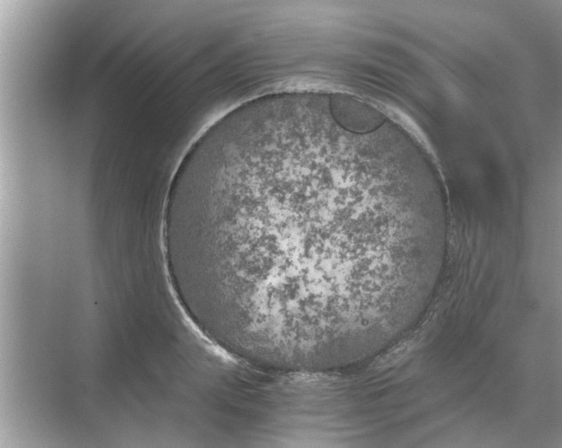 X0000068750847200605121608