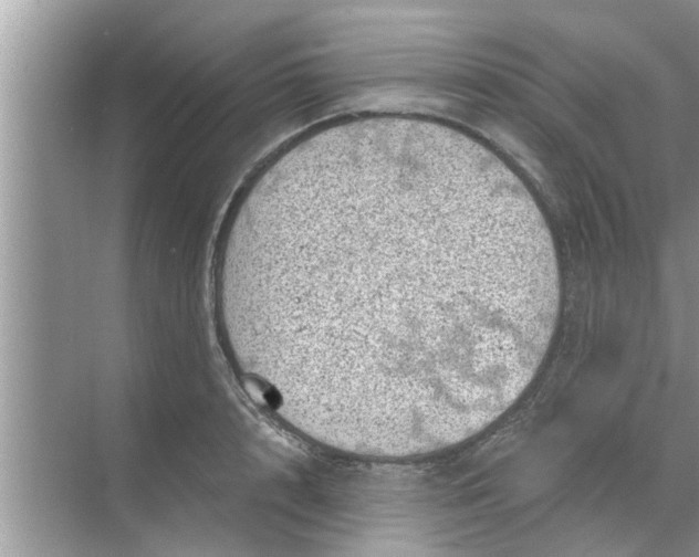 X0000068750848200605121608