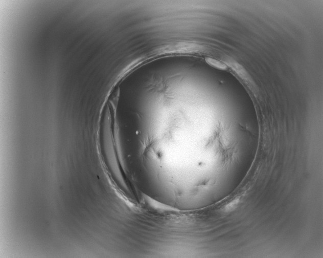 X0000068750850200605121608