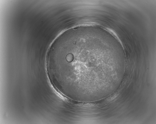 X0000068750851200605121608