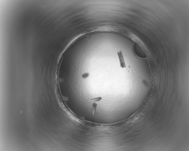 X0000068750852200605121608