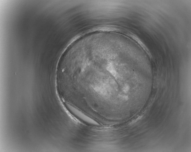 X0000068750853200605121608