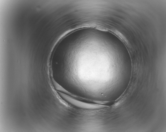 X0000068750854200605121608