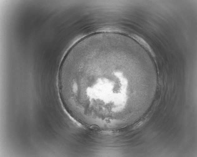 X0000068750855200605121608