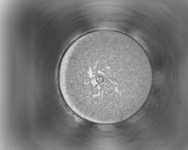 X0000068750856200605121608