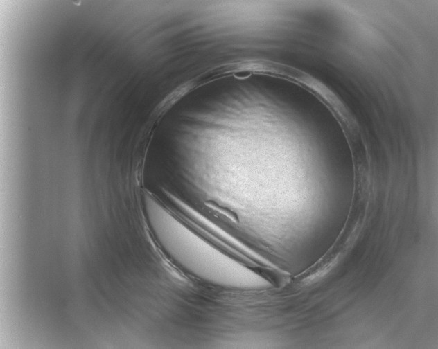 X0000068750857200605121608