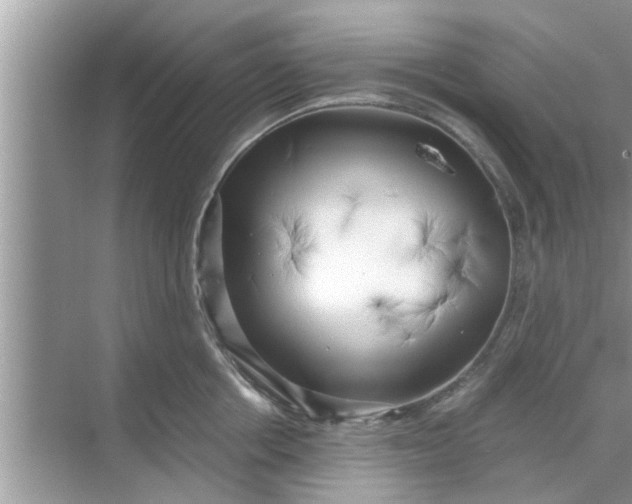 X0000068750858200605121608