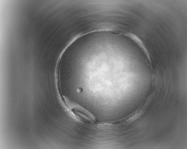 X0000068750859200605121608