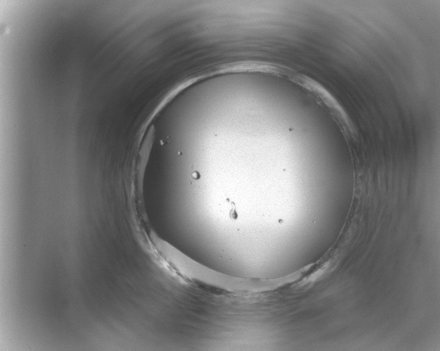 X0000068750860200605121608