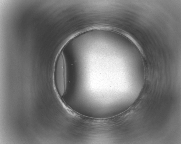 X0000068750861200605121608