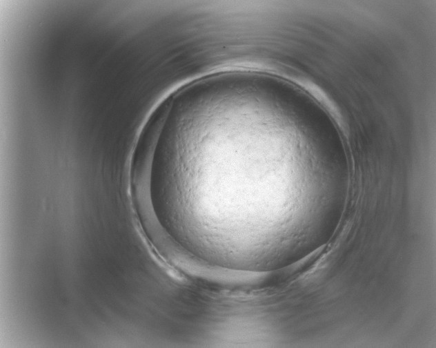 X0000068750862200605121608