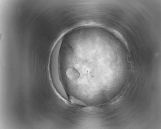 X0000068750863200605121608