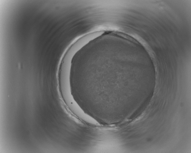 X0000068750864200605121608