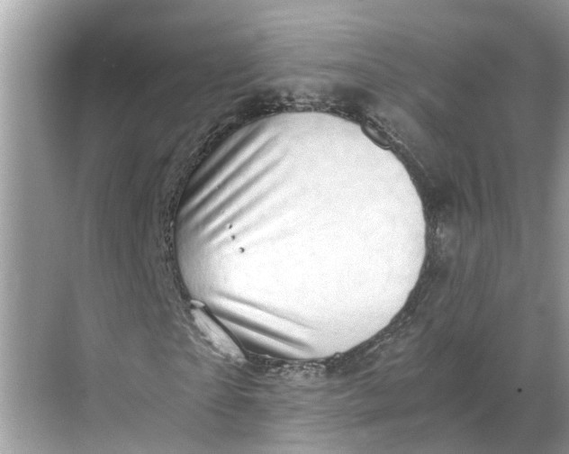 X0000068750865200605121607