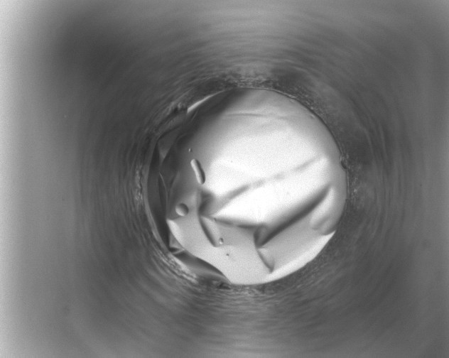 X0000068750866200605121607