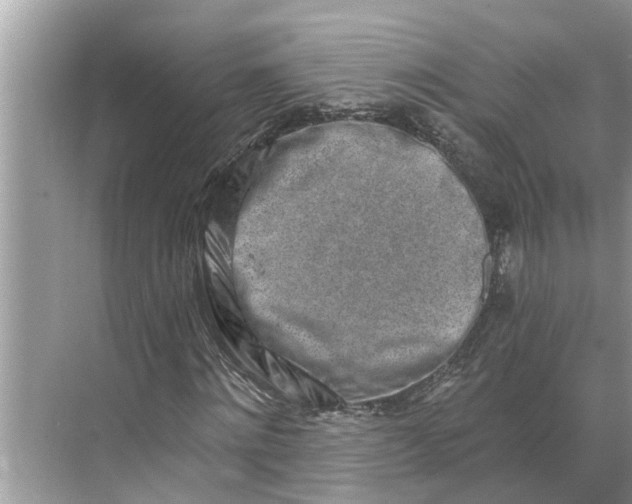 X0000068750868200605121607