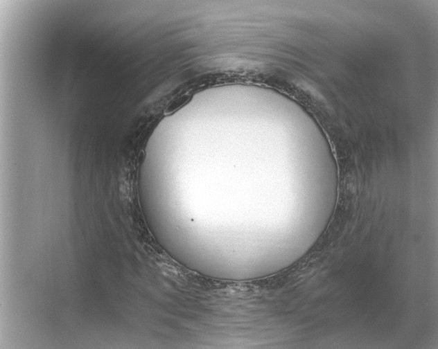 X0000068750869200605121607